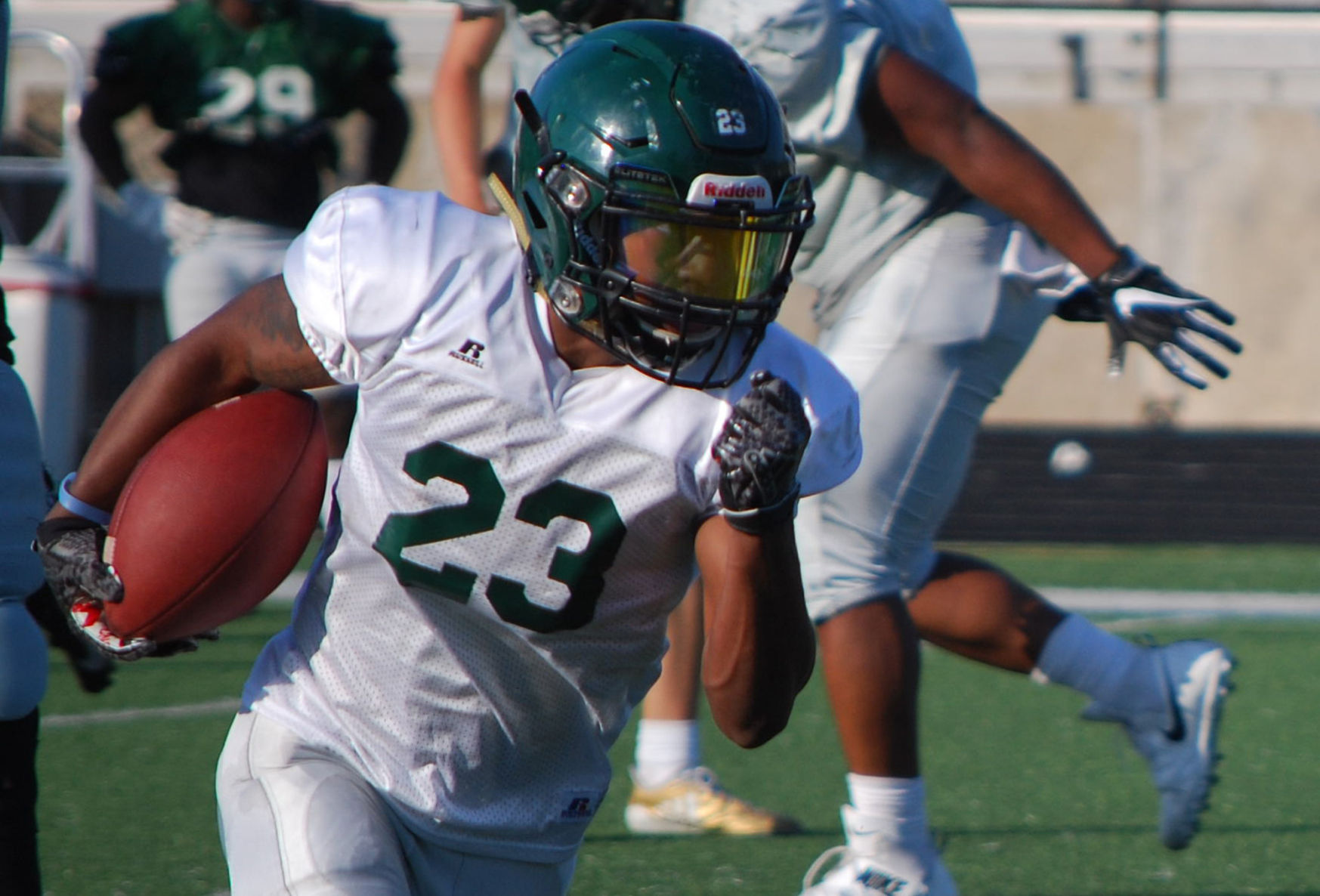 Lobo Football